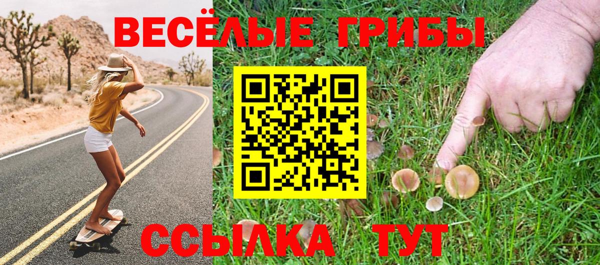 Галлюциногенные грибы прущие грибы  Псилоцибиновые грибы MAGIC MUSHROOMS  Белогорск  купить  сайты  Вход с VPN 