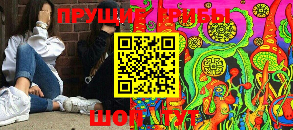 Псилоцибиновые грибы мицелий Белогорск